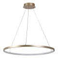Rabalux - LED luster na sajli LED/55W/230V 3000K