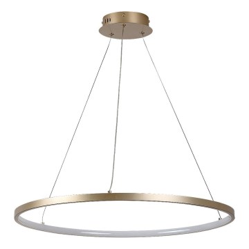 Rabalux - LED luster na sajli LED/55W/230V 3000K
