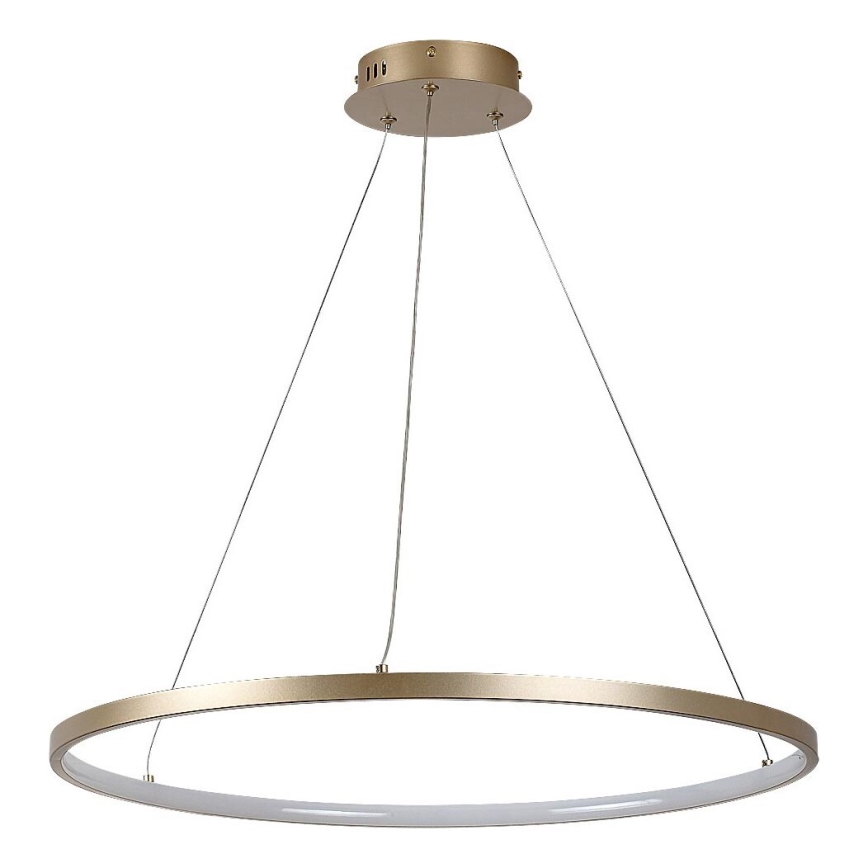 Rabalux - LED luster na sajli LED/55W/230V 3000K