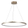 Rabalux - LED luster na sajli LED/55W/230V 3000K