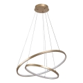 Rabalux - LED luster na sajli s mogućnošću prigušivanja LED/75W/230V 3000-6500K + daljinski upravljač