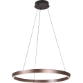 Rabalux - LED luster na sajli s prigušivanjem LED/36W/230V 3000-6500K + daljinski upravljač