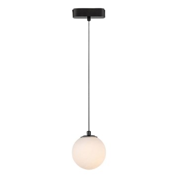 Rabalux - LED Luster na sajli za 1-fazni tračni sustav LED/5W/230V 3000K crna