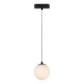 Rabalux - LED Luster na sajli za 1-fazni tračni sustav LED/5W/24V 3000K crna