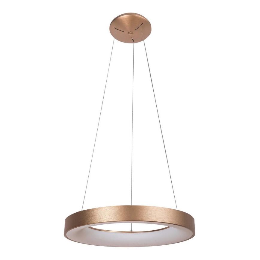Rabalux - LED luster na užetu CARMELLA LED/50W/230V promjer 60 cm