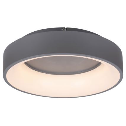 Rabalux - LED Prigušiva stropna svjetiljka LED/24W/230V okrugli 3000-6000K + daljinski upravljač