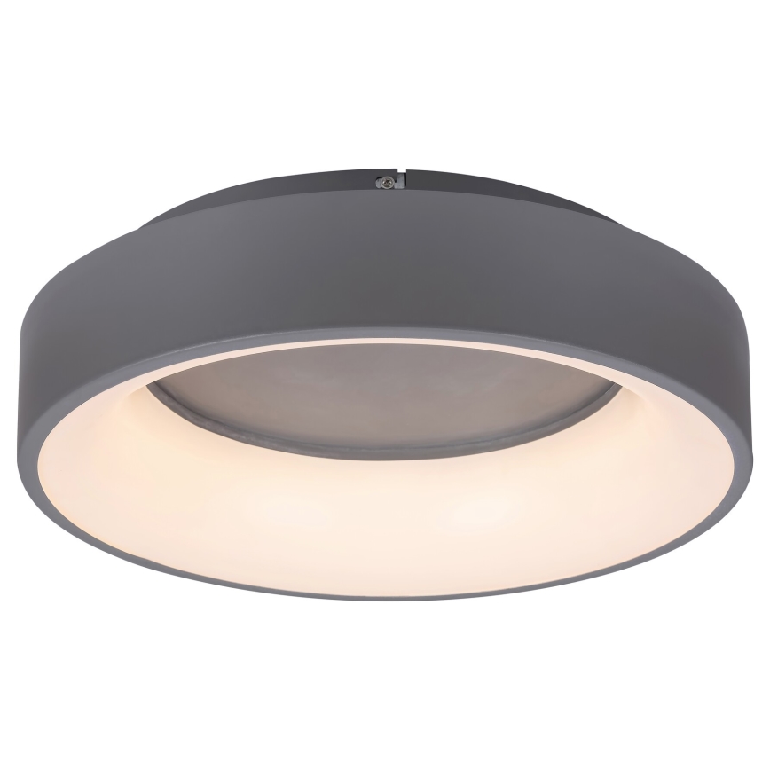 Rabalux - LED Prigušiva stropna svjetiljka LED/24W/230V okrugli 3000-6000K + daljinski upravljač