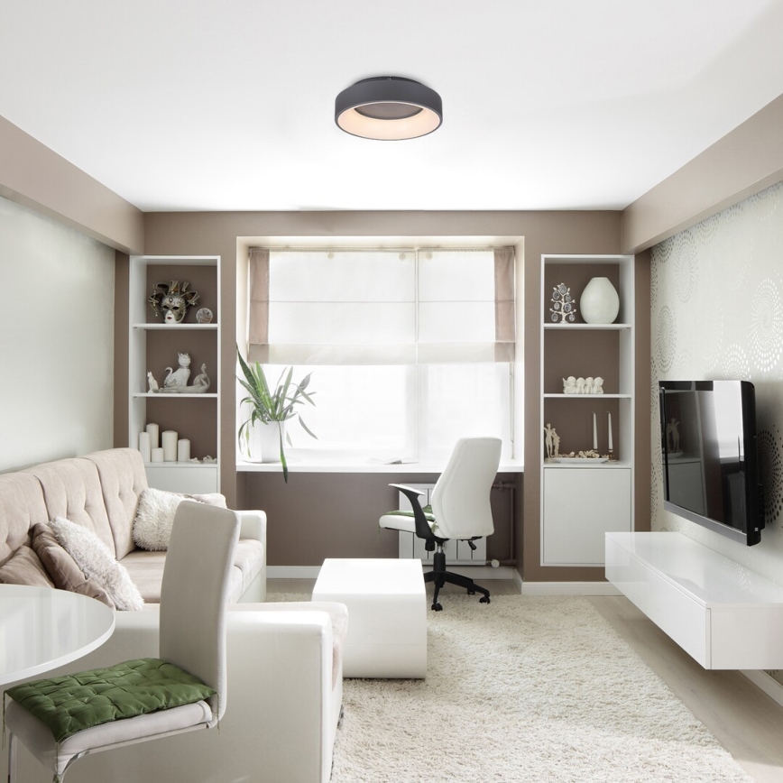 Rabalux - LED Prigušiva stropna svjetiljka LED/24W/230V okrugli 3000-6000K + daljinski upravljač