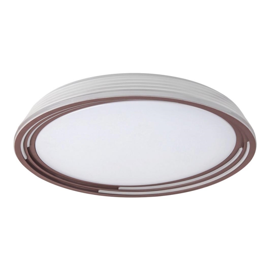 Rabalux - LED Prigušiva stropna svjetiljka LED/36W/230V