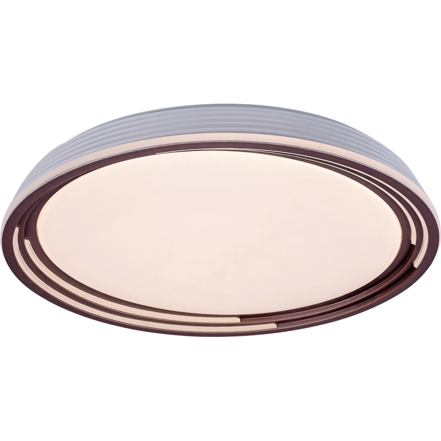 Rabalux - LED Prigušiva stropna svjetiljka LED/36W/230V