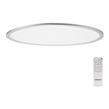 Rabalux - LED Prigušiva stropna svjetiljka LED/40W/230V + DU