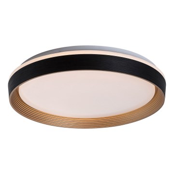 Rabalux - LED Prigušiva stropna svjetiljka LED/48W/230V 3000-6500K + daljinski upravljač