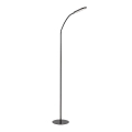 Rabalux - LED prigušivačka dodirna podna lampa LED/10W/230V 3000-6000K crna