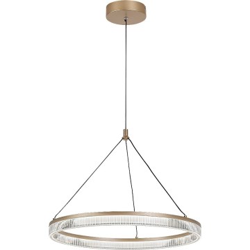 Rabalux - LED prigušivi luster na sajli LED/24W/230V 3000-6500K + daljinski upravljač