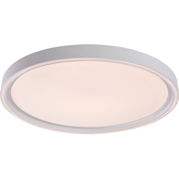 Rabalux - LED prigušivo stropno svjetlo LED/31W/230V IP40 3000-6500K pr. 41,5 cm + daljinski upravljač