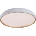 Rabalux - LED prigušivo stropno svjetlo LED/34W/230V 3000-6500K promjer 38 cm + daljinsko upravljanje
