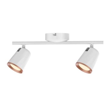 Rabalux -LED Reflektorska svjetiljka SOLANGE 2xLED/6W/230V