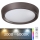 Rabalux - LED RGB Prigušiva stropna svjetiljka LED/24W/230V + DU 3000-6000K