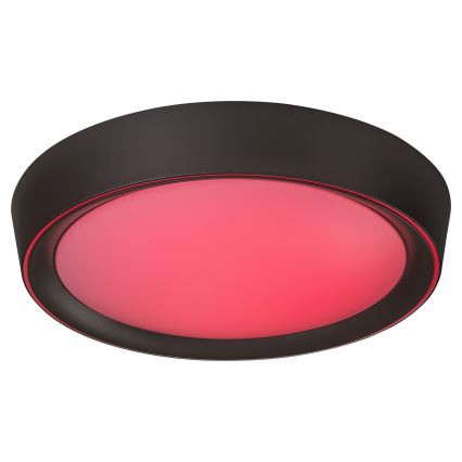 Rabalux - LED RGB Prigušiva stropna svjetiljka LED/24W/230V + DU 3000-6000K