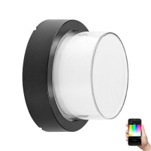 Rabalux - LED RGBW Prigušiva vanjska zidna svjetiljka LED/10W/230V IP54 Wi-Fi Tuya