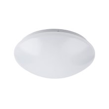 Rabalux - LED Stropna svjetiljka 1xLED/12W/230V