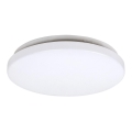 Rabalux - LED Stropna svjetiljka 1xLED/20W/230V pr. 29 cm