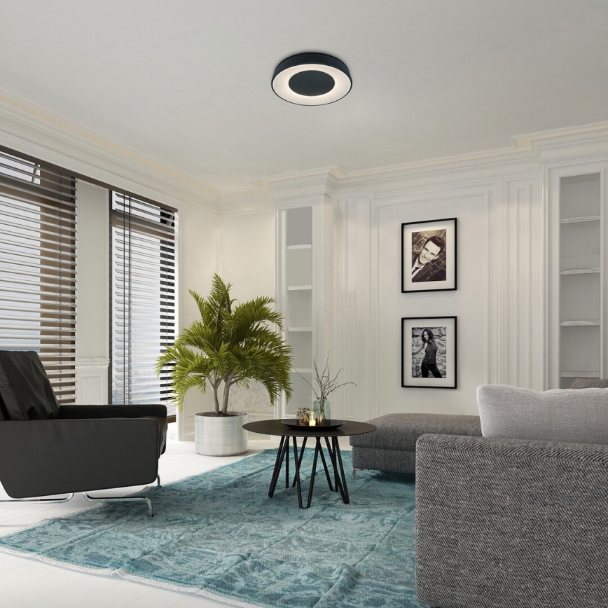 Rabalux - LED stropna svjetiljka s prigušivanjem LED/38W/230V crna 3000-6500K + daljinski upravljač promjer 48 cm