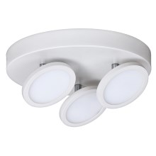 Rabalux - LED Stropna svjetiljka 3xLED/6W/230V bijela