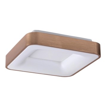 Rabalux - LED Stropna svjetiljka CARMELA LED/30W/230V 40x40 cm