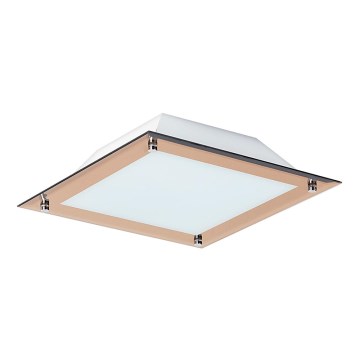 Rabalux - LED stropna svjetiljka LARS 1xLED/12W/230V 30x30 cm