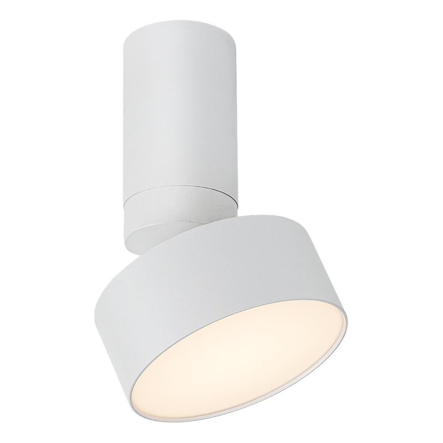 Rabalux - LED Stropna svjetiljka LED/10W/230V 3000K bijela