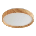 Rabalux - LED stropna svjetiljka LED/12W/230V 3000K promjer 26 cm