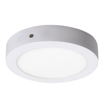 Rabalux - LED Stropna svjetiljka LED/12W/230V