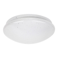Rabalux - LED stropna svjetiljka LED/12W/230V promjer 26 cm