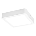 Rabalux - LED Stropna svjetiljka LED/15W/230V 4000K 16x16 cm bijela