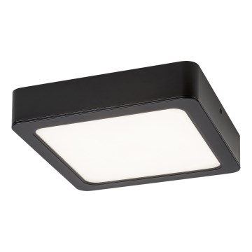 Rabalux - LED Stropna svjetiljka LED/15W/230V 4000K 16x16 cm crna