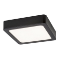 Rabalux - LED stropna svjetiljka LED/17W/230V 17x17 cm