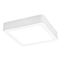 Rabalux - LED stropna svjetiljka LED/18W/230V 17x17 cm