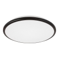 Rabalux - LED stropna svjetiljka LED/18W/230V 3000K crna 27 cm