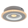 Rabalux - LED stropna svjetiljka LED/20W/230V 3000/4000/6000K Ø 20 cm