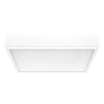 Rabalux - LED Stropna svjetiljka LED/22W/230V 3000/4000/6000K 21x21 cm bijela