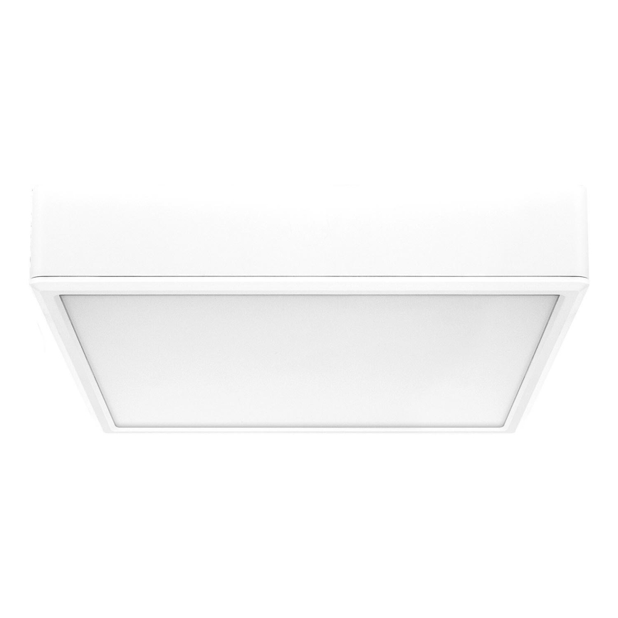 Rabalux - LED Stropna svjetiljka LED/22W/230V 3000/4000/6000K 21x21 cm bijela