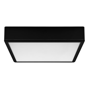 Rabalux - LED Stropna svjetiljka LED/22W/230V 3000/4000/6000K 21x21 cm crna