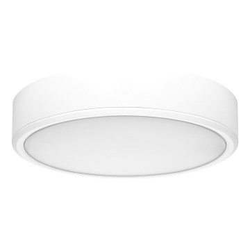 Rabalux - LED Stropna svjetiljka LED/22W/230V 3000/4000/6000K pr. 21 cm bijela