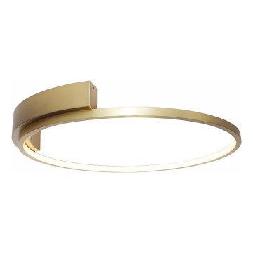 Rabalux - LED Stropna svjetiljka LED/23W/230V