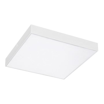 Rabalux - LED stropna svjetiljka LED/24W/230V 2800-6000K IP44 bijela 30x30 cm