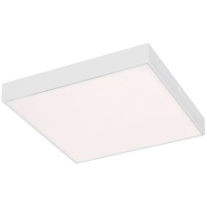 Rabalux - LED stropna svjetiljka LED/24W/230V 2800-6000K IP44 bijela 30x30 cm