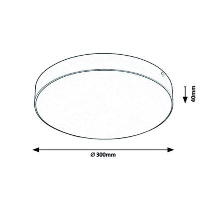 Rabalux - LED Stropna svjetiljka LED/24W/230V 3000-6000K IP44 bijela