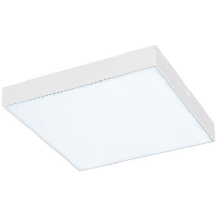 Rabalux - LED Stropna svjetiljka LED/24W/230V 3000-6000K IP44 bijela