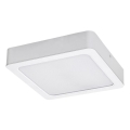 Rabalux - LED Stropna svjetiljka LED/24W/230V 3000K 22x22 cm bijela